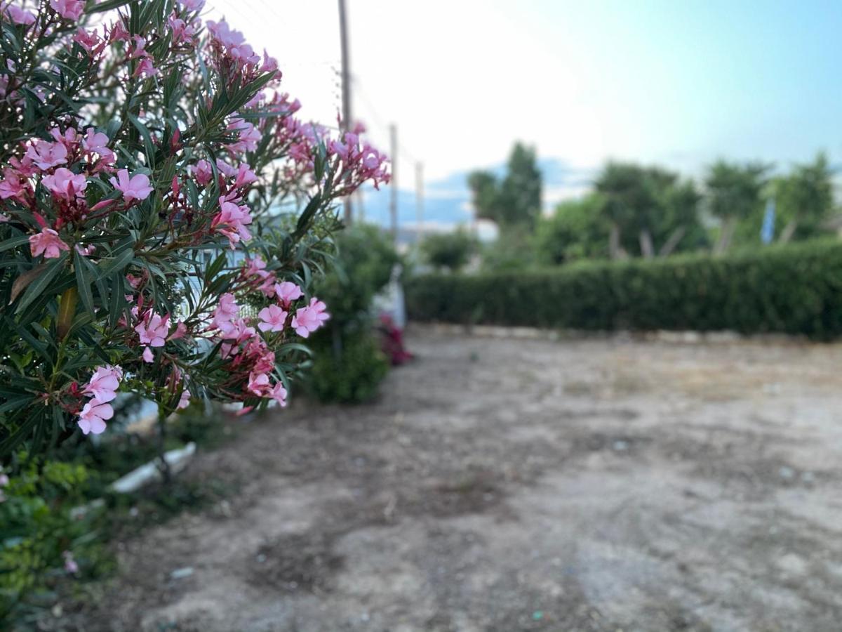 Athens Riviera: 2 Bed / 3' Walk From The Beach Agia Marina  Exteriér fotografie